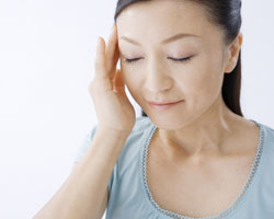 �n���E�����N�Z�t������